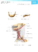 Sobotta Atlas of Human Anatomy  Head,Neck,Upper Limb Volume1 2006, page 112